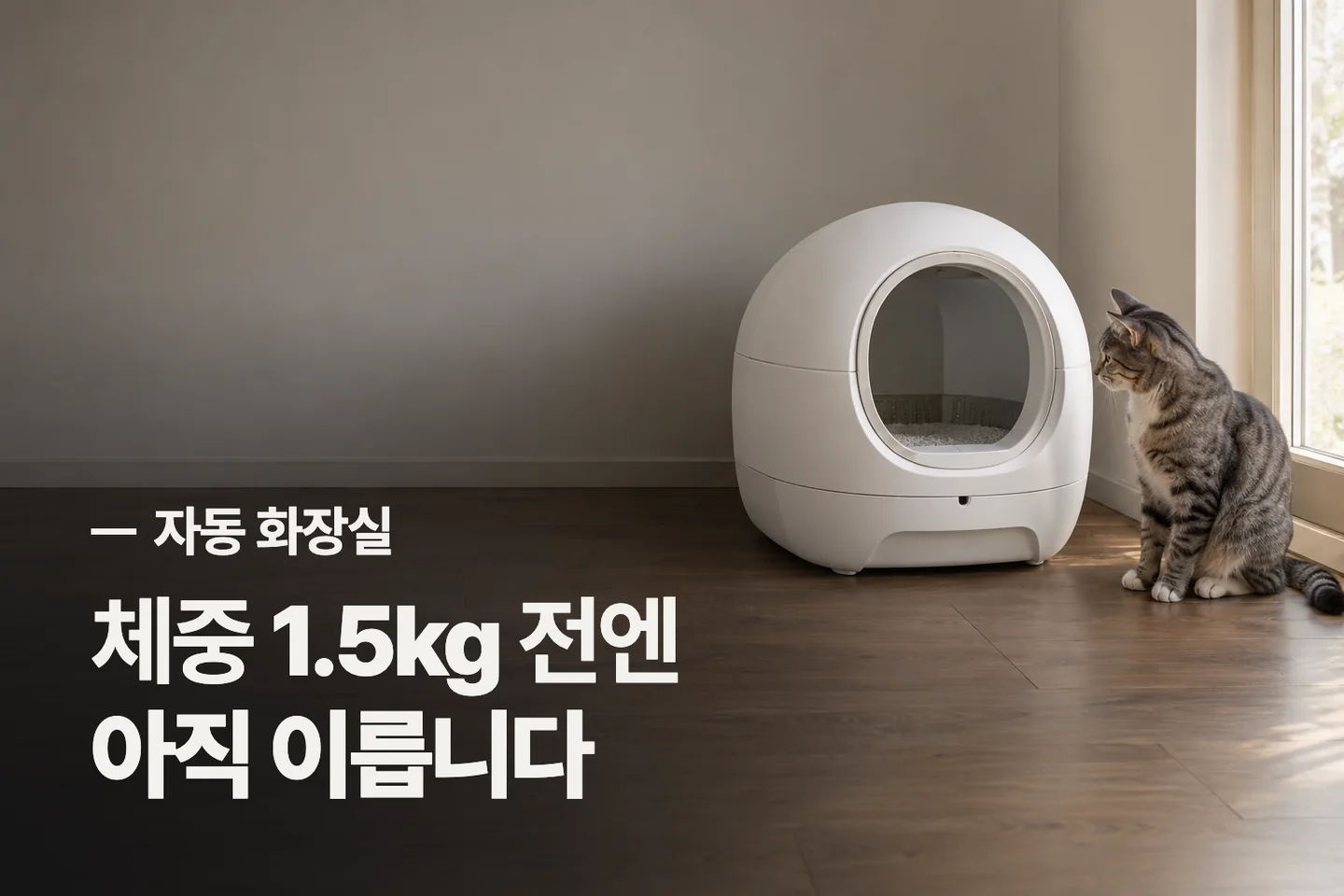 체중 1.5kg 전엔 아직 이릅니다 — 자동 화장실 썸네일 (사진은 AI로 만든 이해용 이미지)