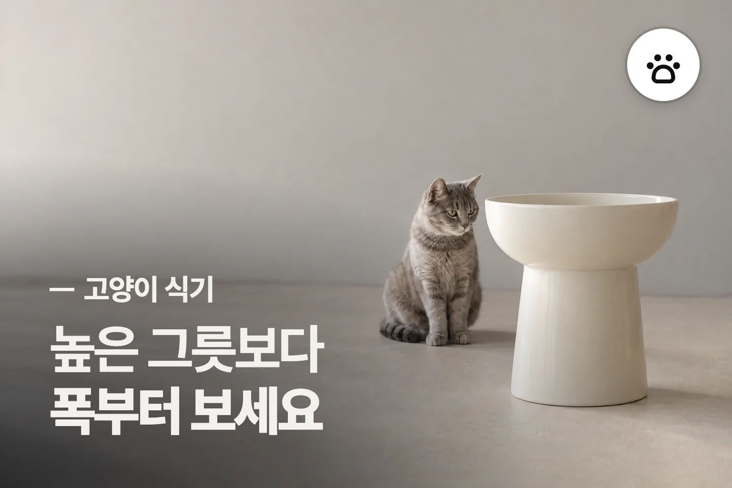 높은 그릇보다 폭부터 보세요 — 고양이 식기 썸네일 (사진은 AI로 만든 이해용 이미지)
