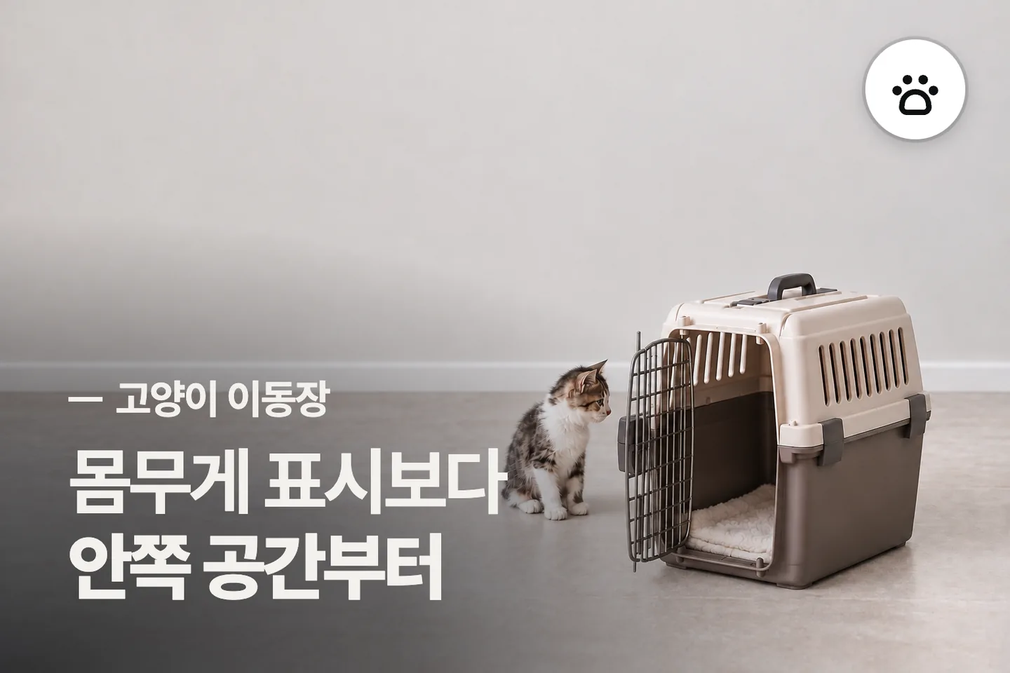몸무게 표시보다 안쪽 공간부터 보세요 — 고양이 이동장 썸네일 (사진은 AI로 만든 이해용 이미지)