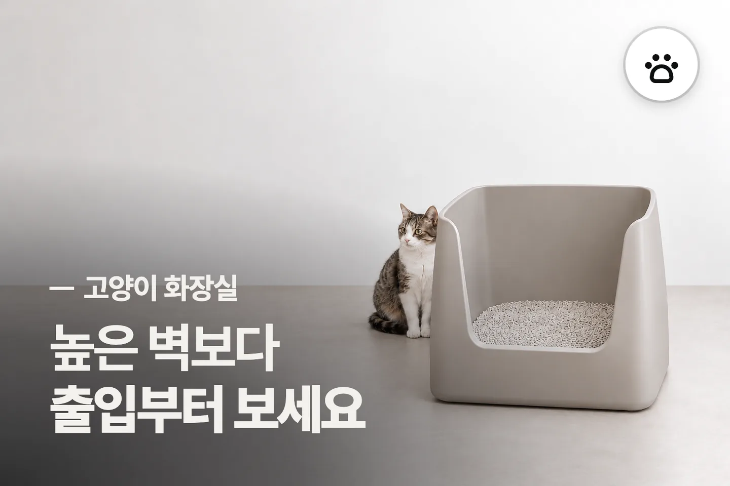 높은 벽보다 출입부터 보세요 — 고양이 화장실 썸네일 (사진은 AI로 만든 이해용 이미지)
