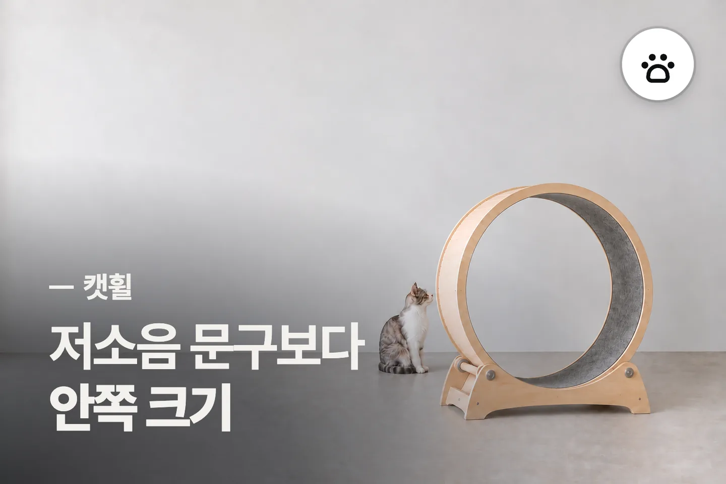 저소음 문구보다 안쪽 크기 보세요 — 캣휠 썸네일 (사진은 AI로 만든 이해용 이미지)