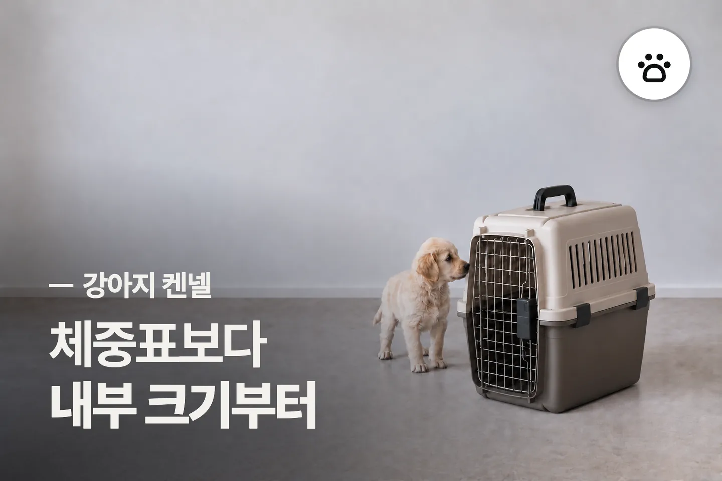 체중표보다 내부 크기부터 보세요 — 강아지 켄넬 썸네일 (사진은 AI로 만든 이해용 이미지)