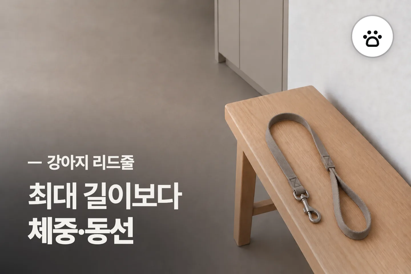 최대 길이보다 체중·동선 보세요 — 강아지 리드줄 썸네일 (사진은 AI로 만든 이해용 이미지)