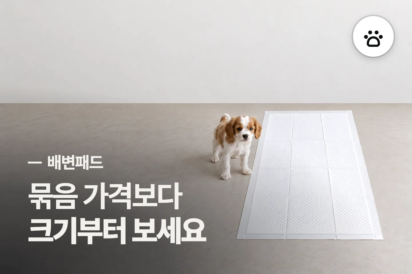 묶음 가격보다 크기부터 보세요 — 배변패드 썸네일 (사진은 AI로 만든 이해용 이미지)