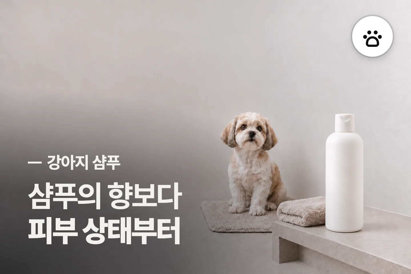 샴푸의 향보다 피부 상태부터 보세요 — 강아지 샴푸 썸네일 (사진은 AI로 만든 이해용 이미지)