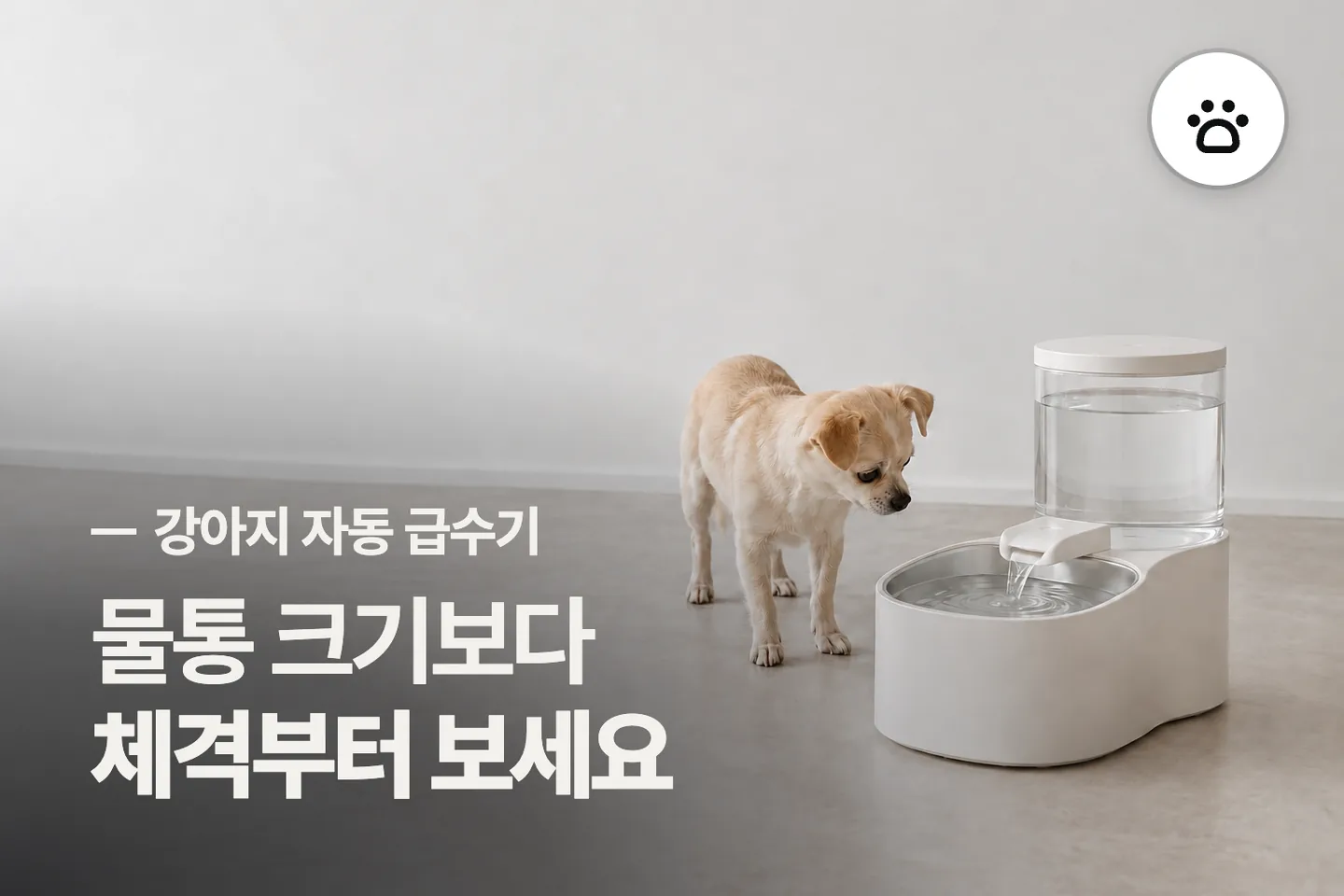 물통 크기보다 체격부터 보세요 — 강아지 자동 급수기 썸네일 (사진은 AI로 만든 이해용 이미지)