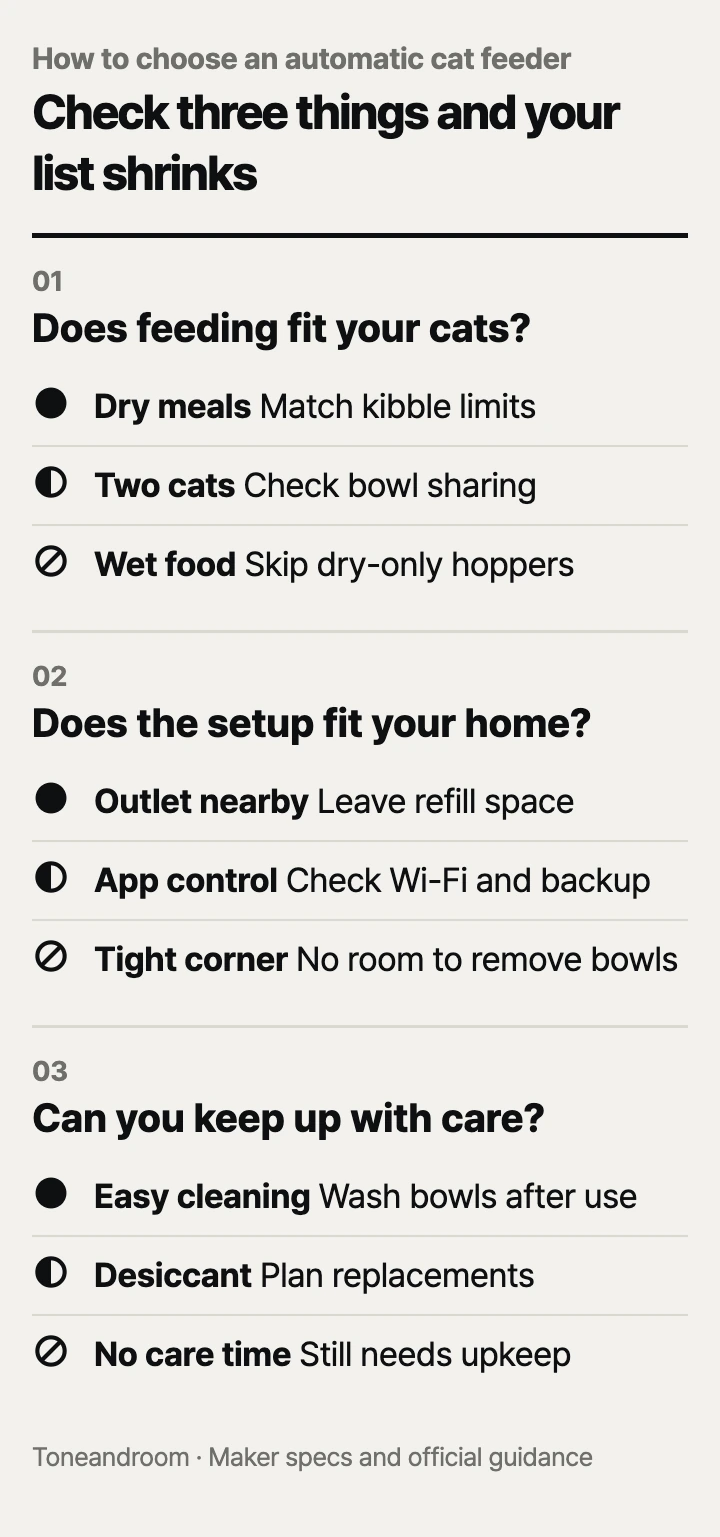 How to choose a automatic cat feeder: feeding fit, setup, upkeep