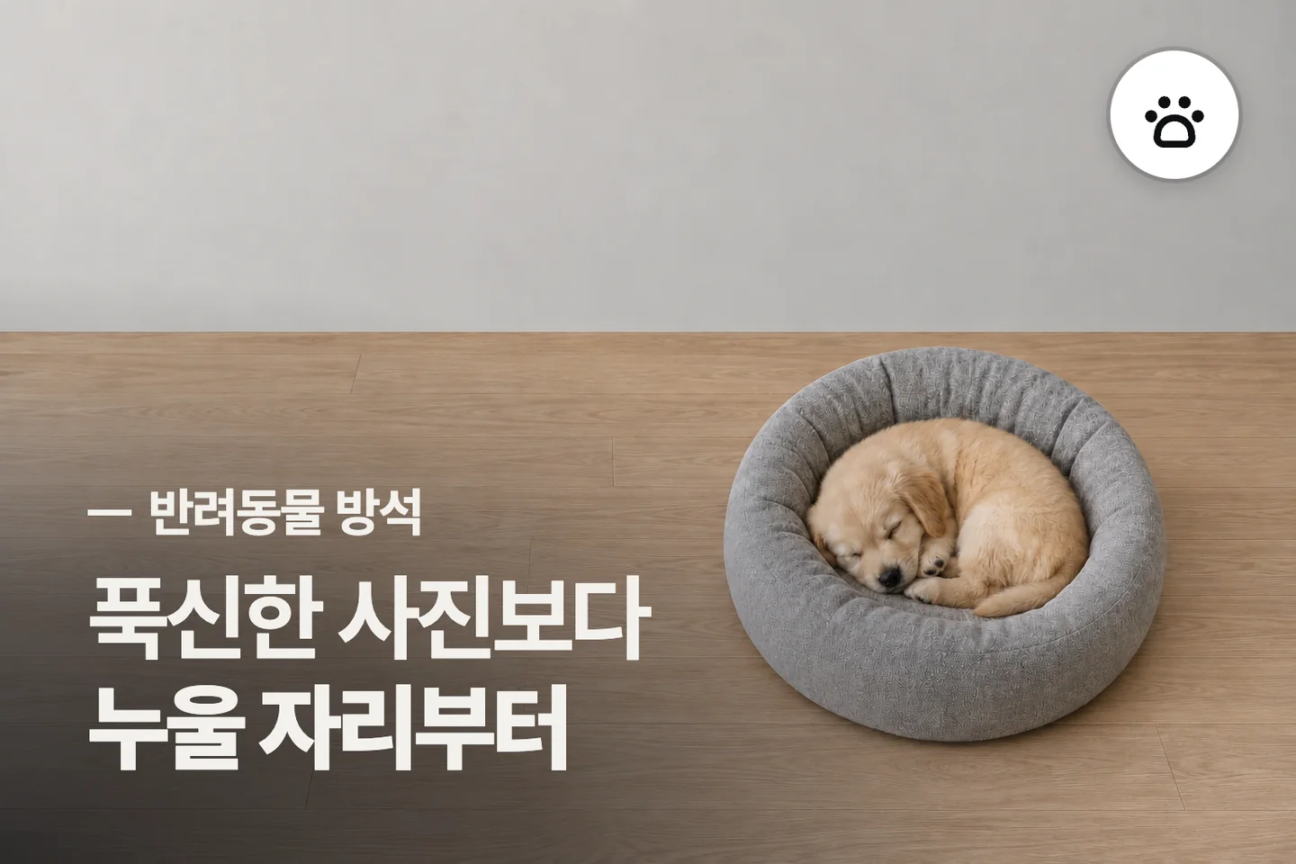 푹신한 사진보다 누울 자리부터 — 반려동물 방석 썸네일 (사진은 AI로 만든 이해용 이미지)