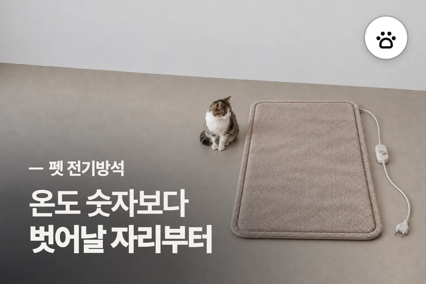온도 숫자보다 벗어날 자리부터 — 펫 전기방석 썸네일